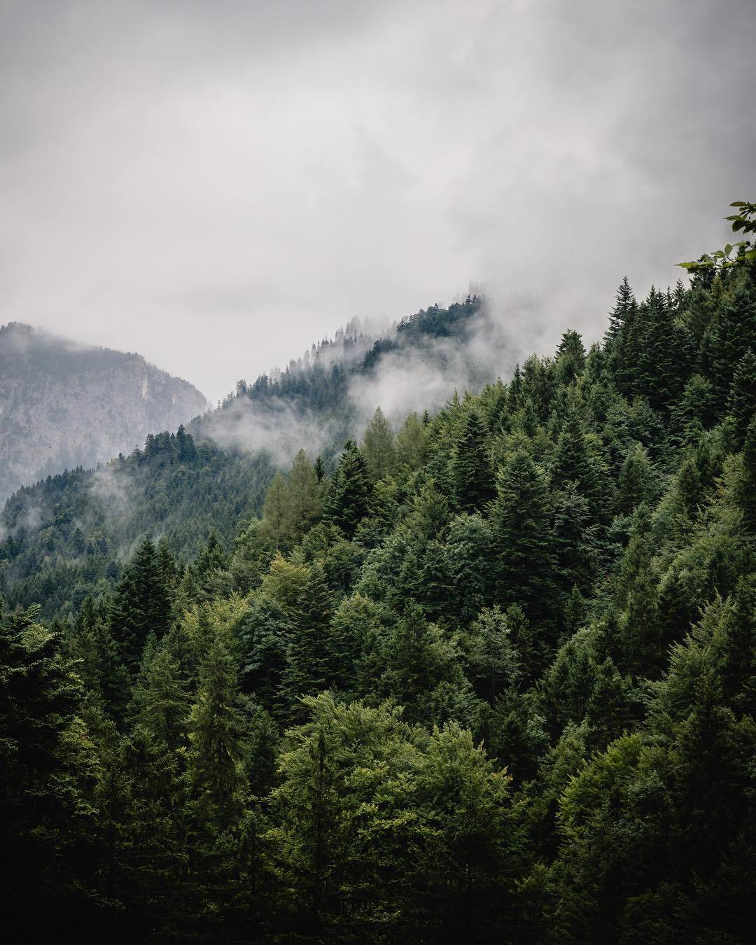 Source: http://whanderlost.tumblr.com