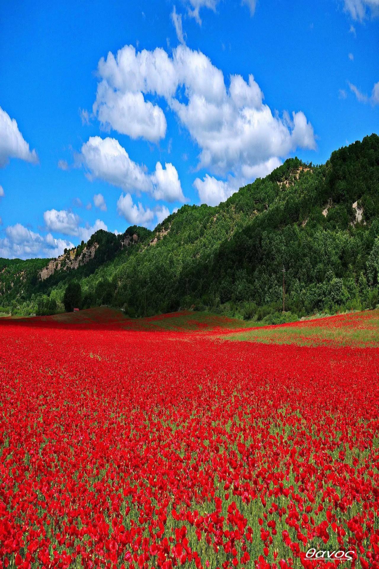 Source: http://gemsofgreece.tumblr.com