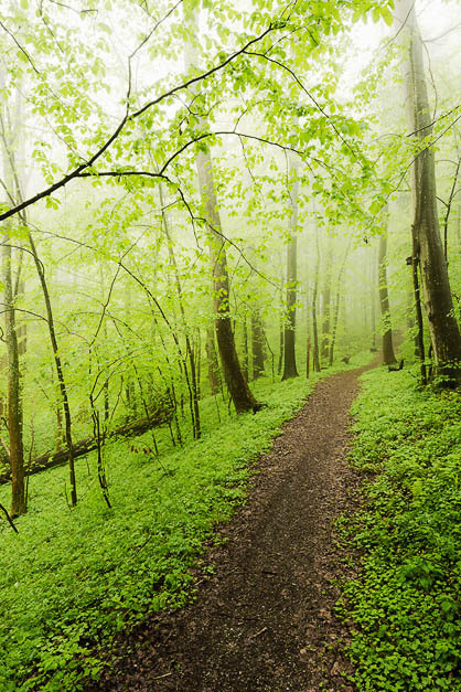 Source: http://j-k-i-ng.tumblr.com