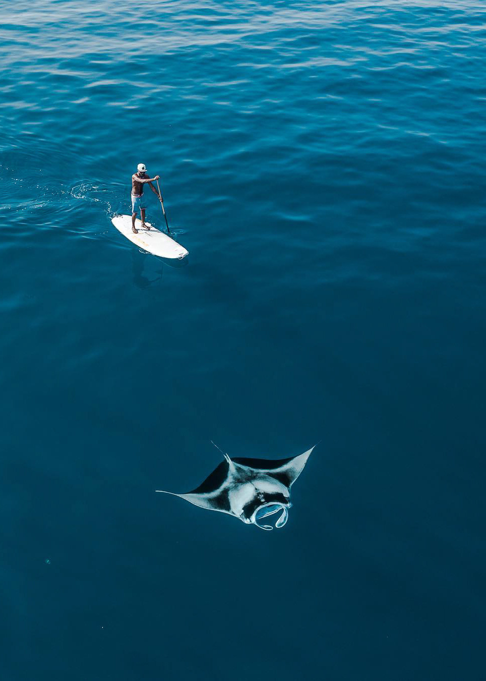 Source: http://coiour-my-world.tumblr.com