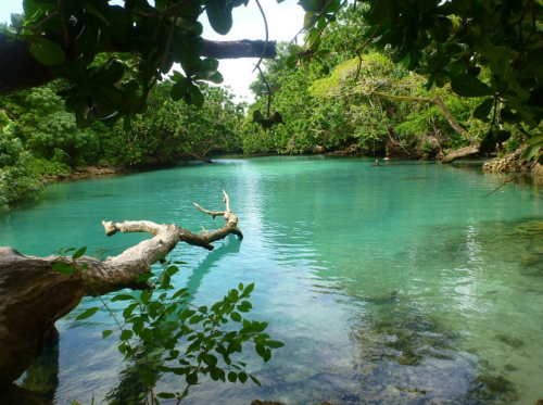 Source: http://tropic-havens.tumblr.com