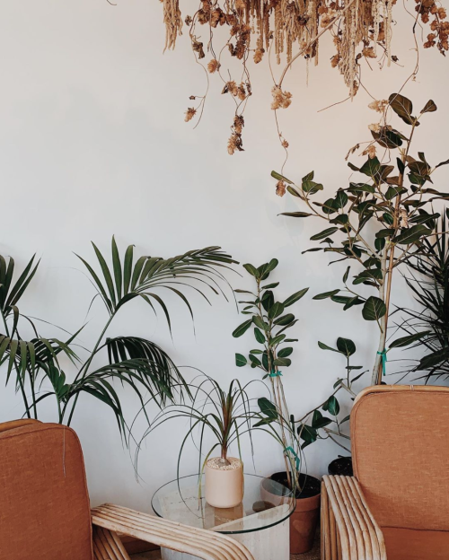 Source: http://wanderluhsts.tumblr.com