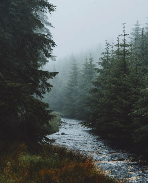 Source: http://junglerain.tumblr.com