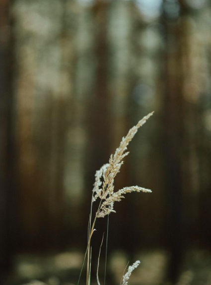 Source: http://breathings.tumblr.com