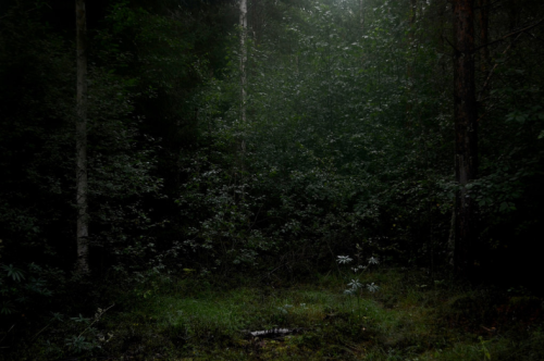 Source: http://expressions-of-nature.tumblr.com