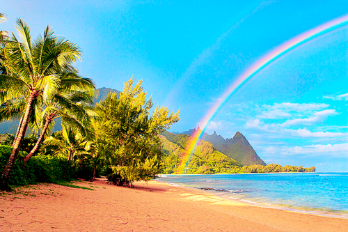 Source: http://tropic-havens.tumblr.com